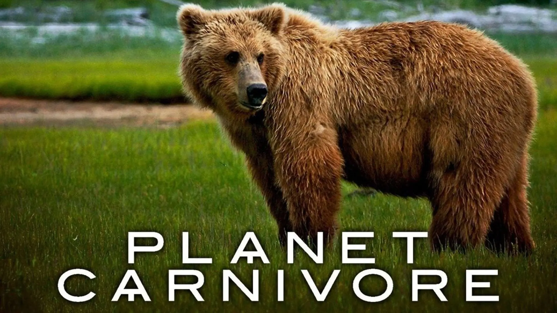 Planet Carnivore backdrop
