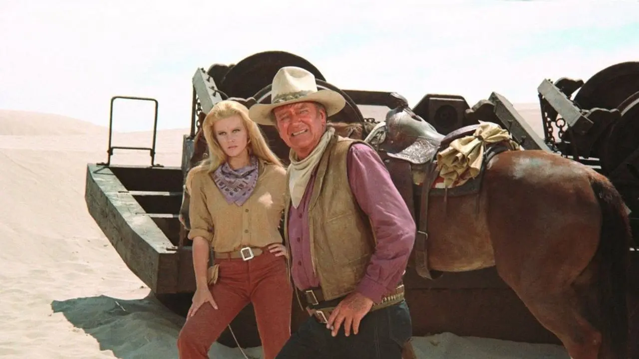 The Train Robbers backdrop