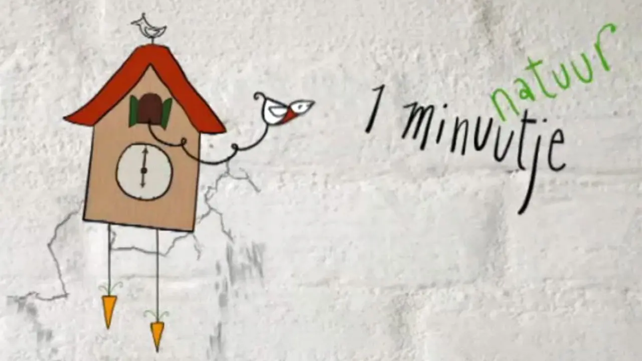 1Minute of Nature backdrop