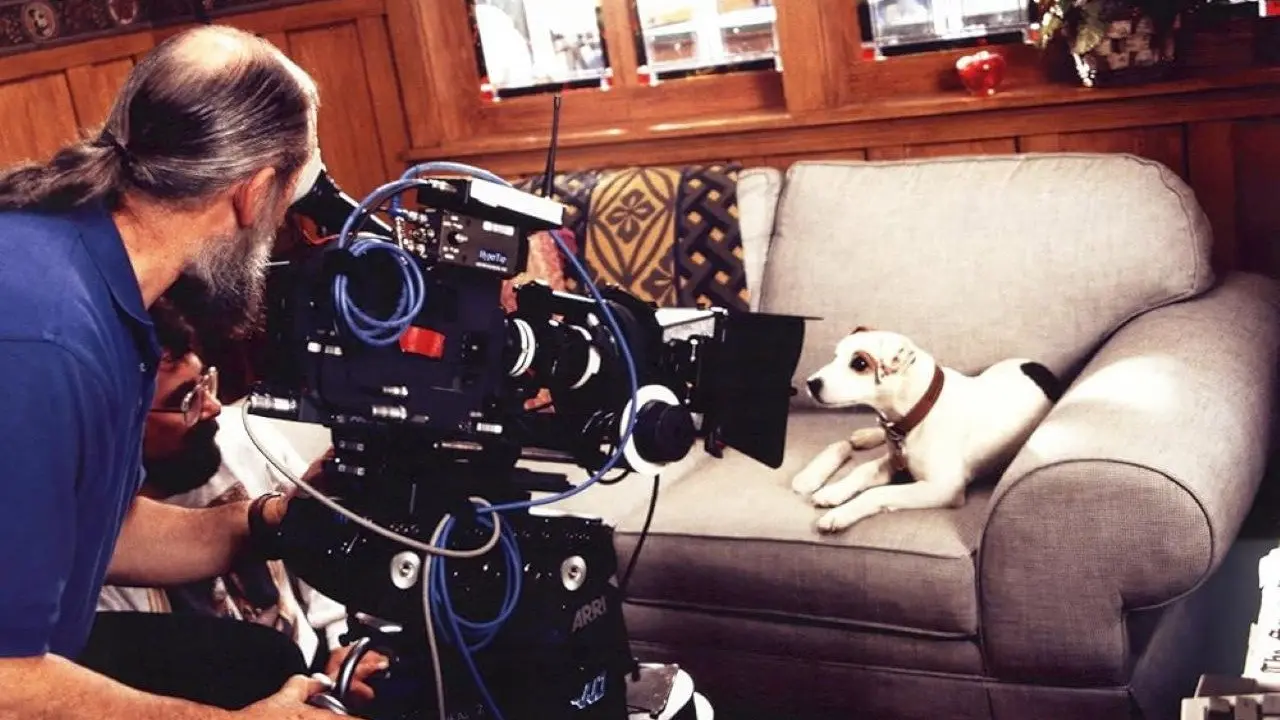 What's the Story, Wishbone? backdrop