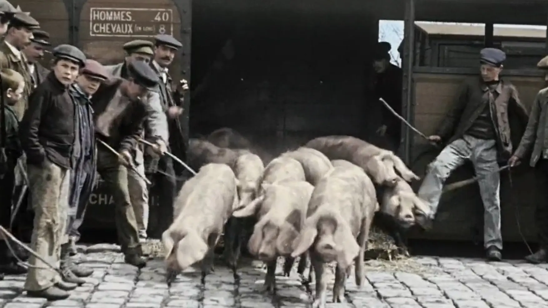 Nous paysans backdrop