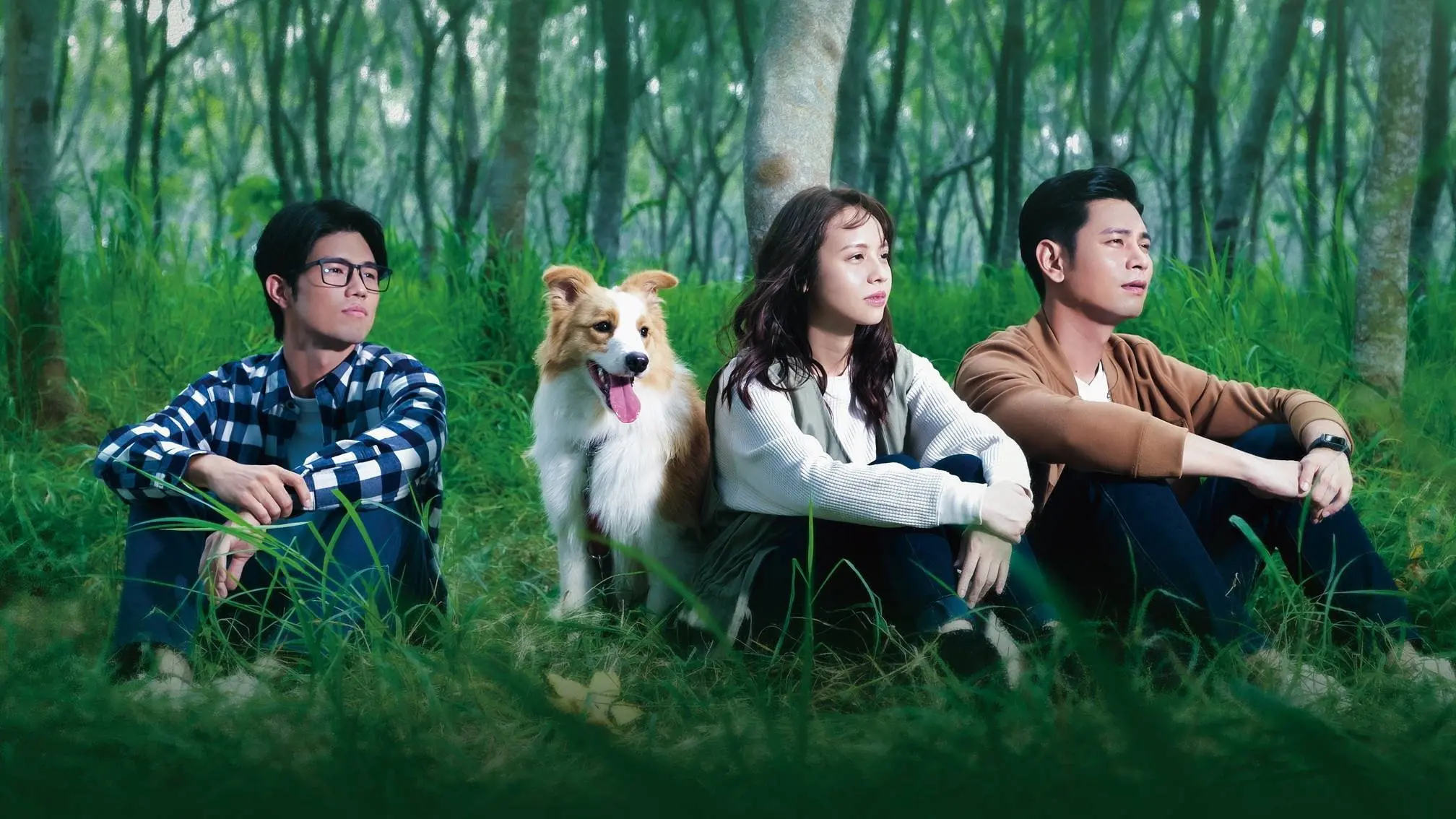 Goodbye Again backdrop