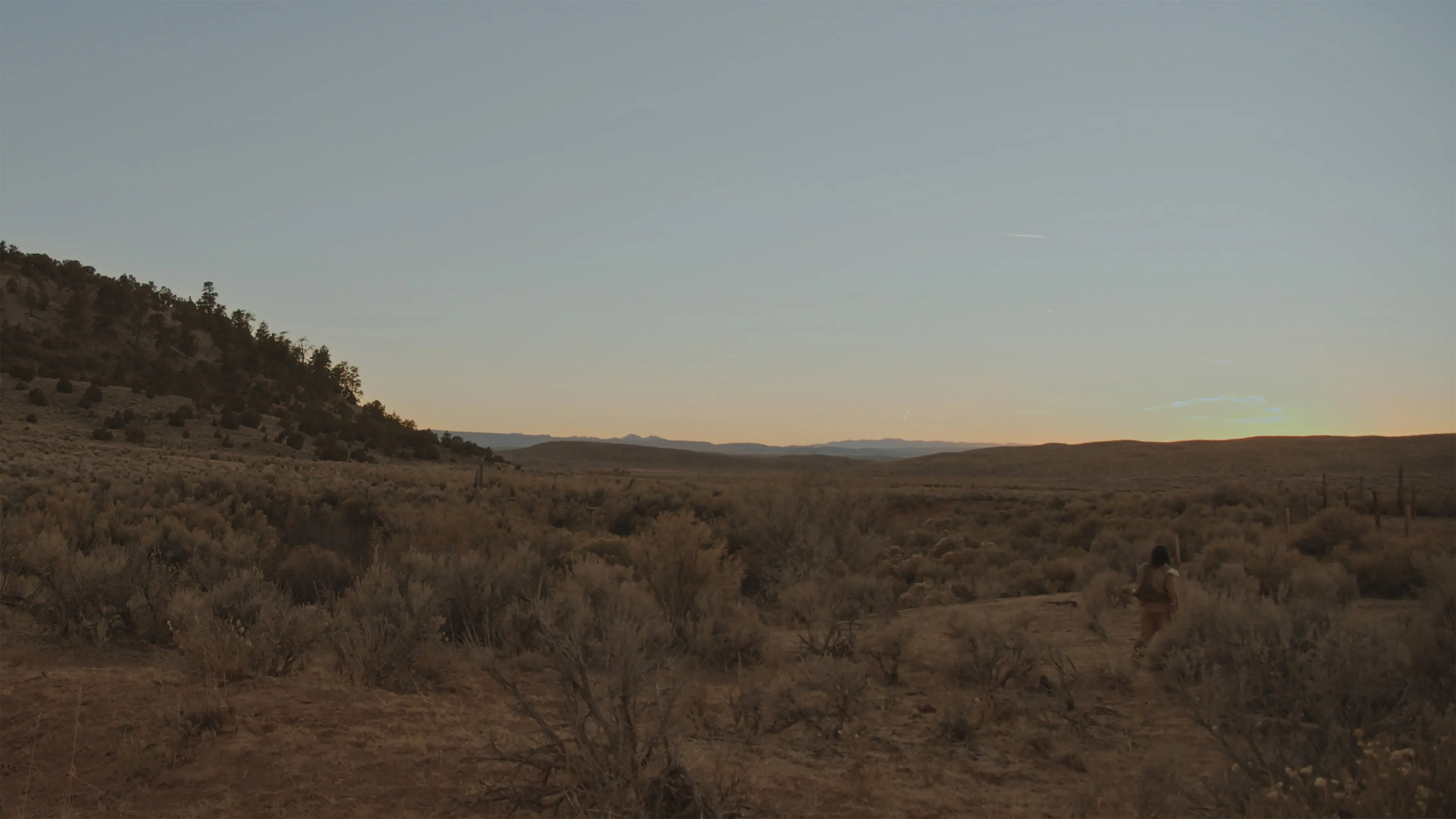 Blue Dusk backdrop