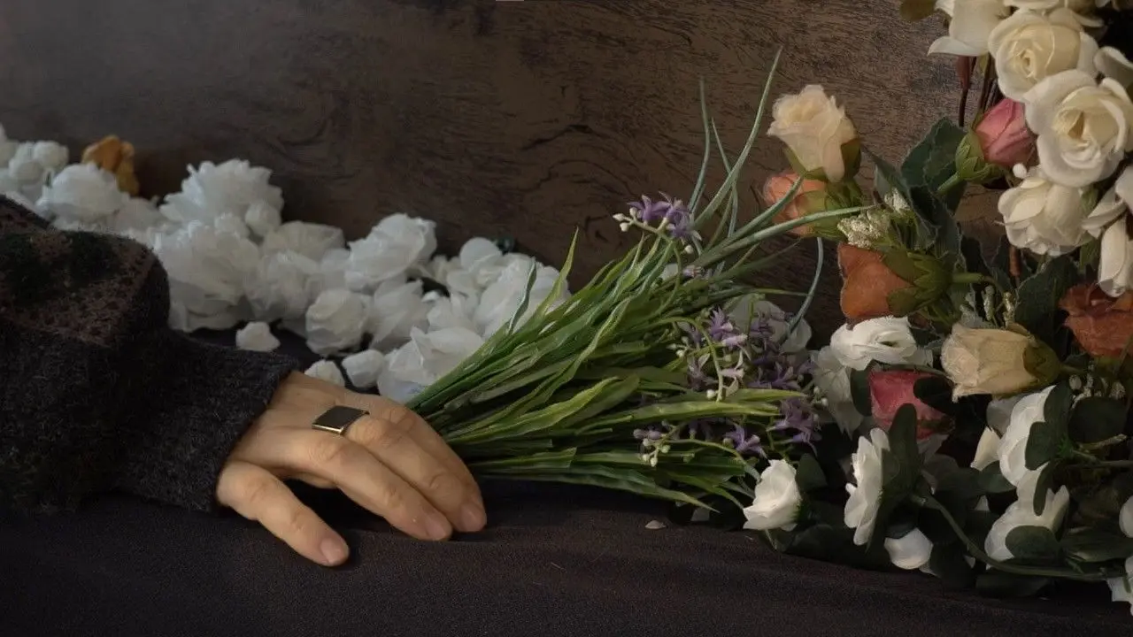 Meus Sentimentos backdrop