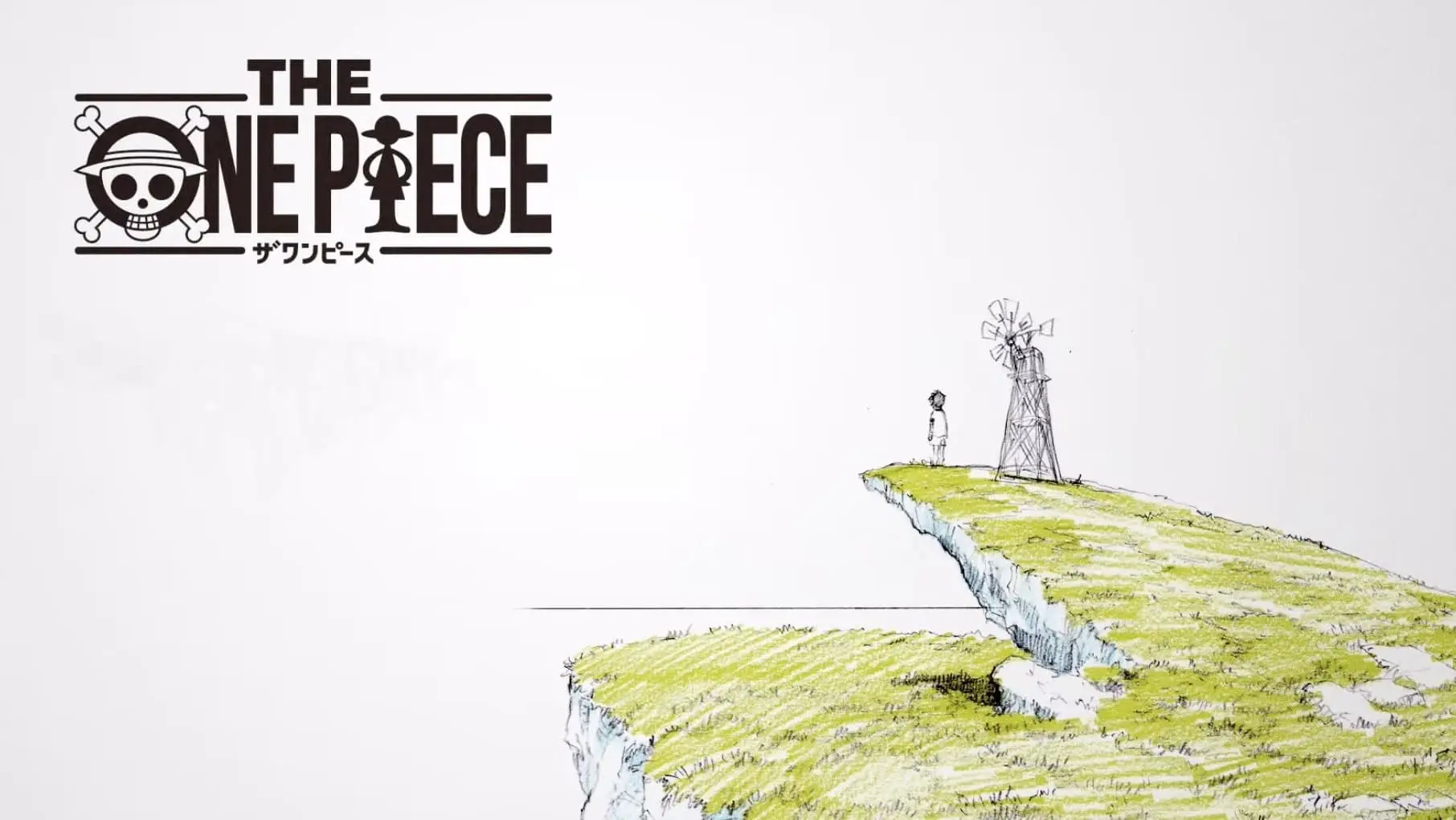 THE ONE PIECE backdrop
