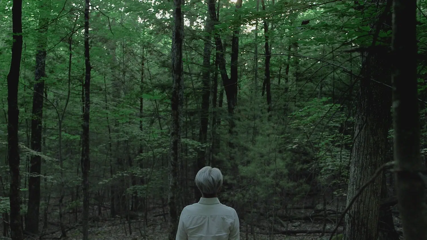 Ryuichi Sakamoto: CODA backdrop
