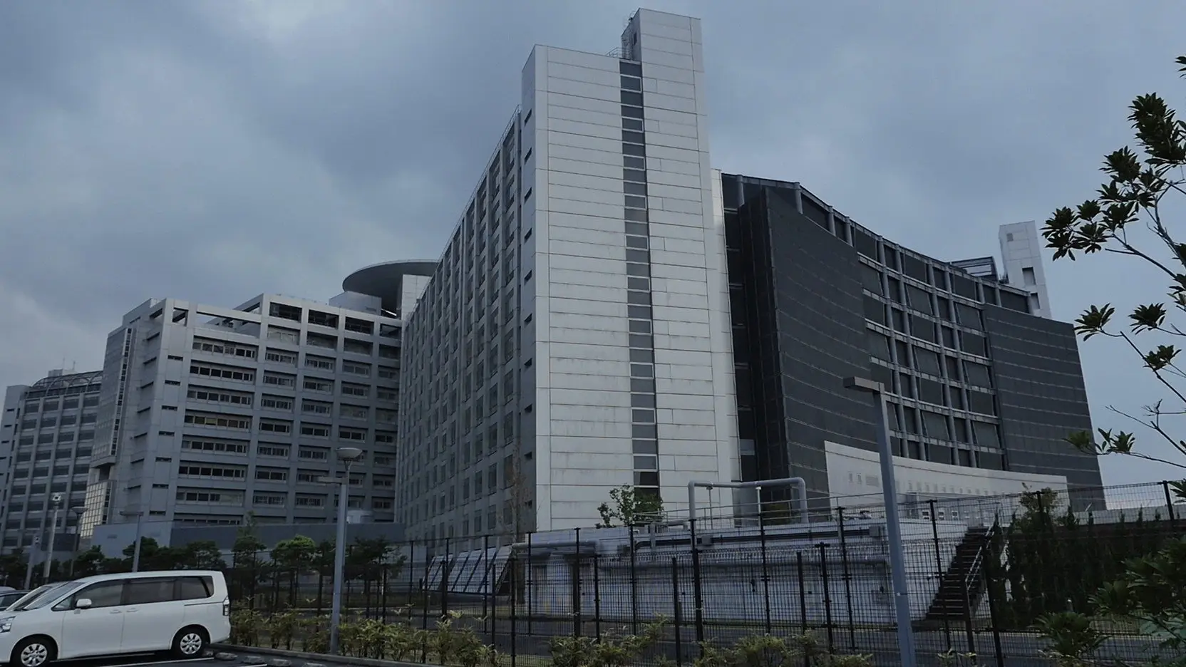 Looking for the Wolf: East Asia Anti-Japan Armed Front backdrop