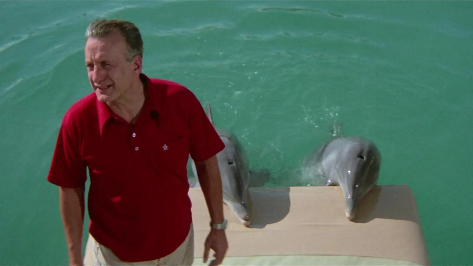 The Day of the Dolphin backdrop