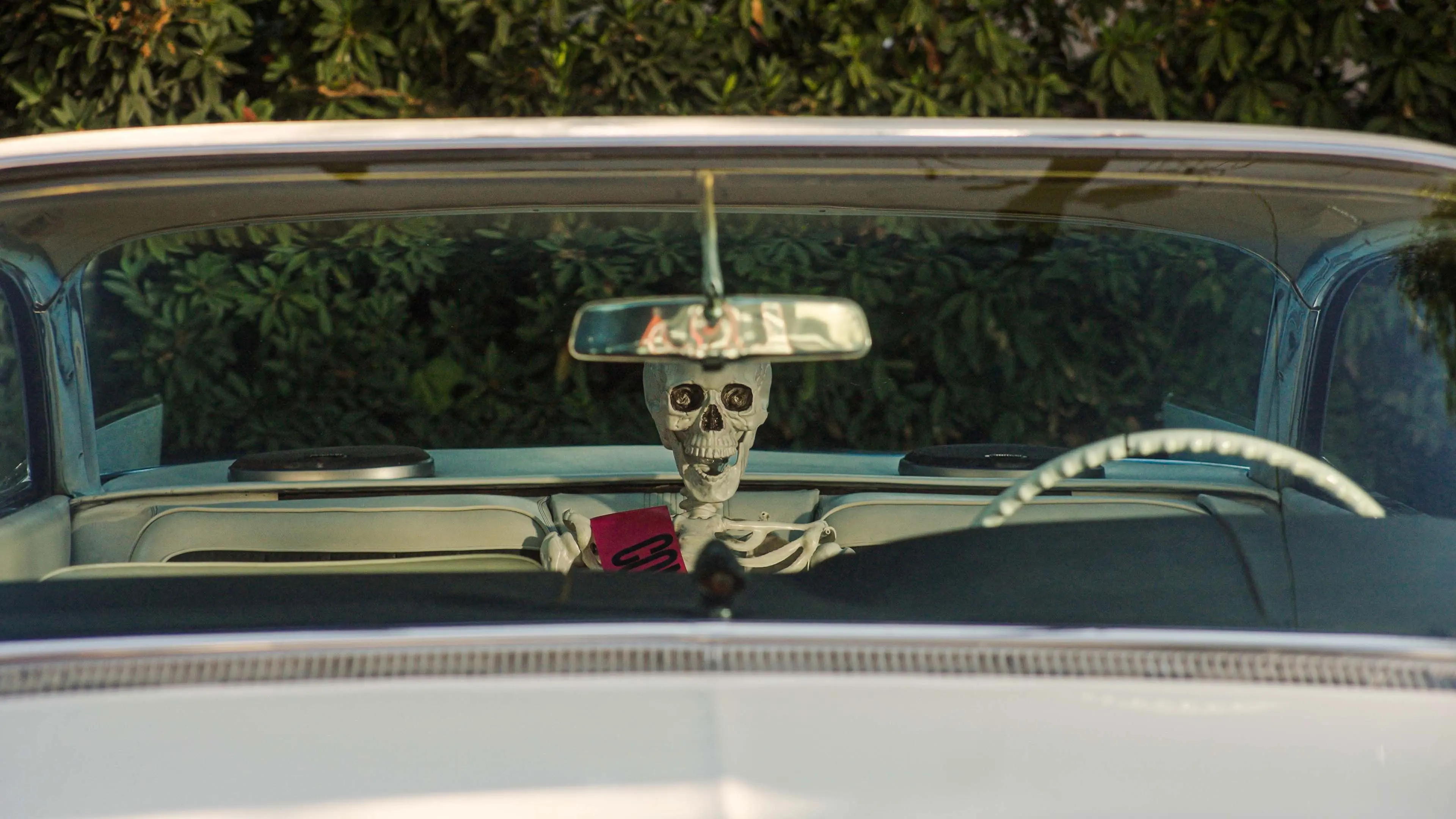 Clean Slate backdrop