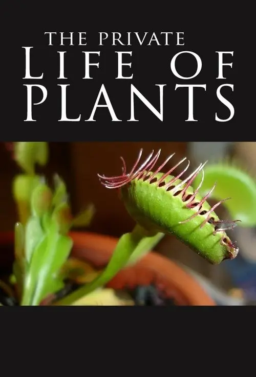 The Private Life of Plants
